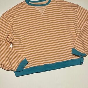 Free People Striped Crewneck Sweater in Pink and Teal